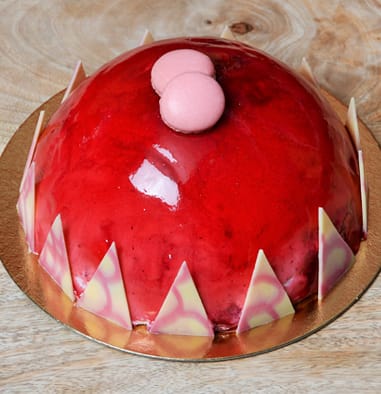 bombe-yoghurt-bosvruchten-ijssalon-de-hoop